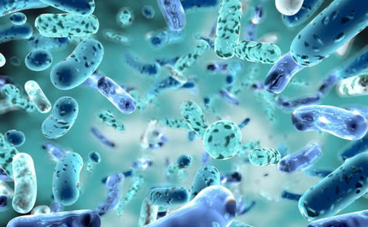 Understanding Your Skin’s Microbiome: The Invisible Ecosystem That Keeps You Healthy